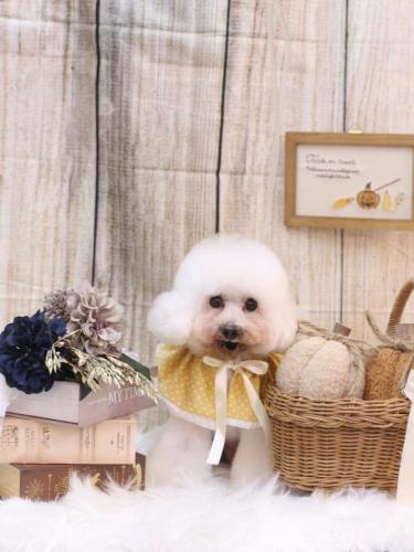 20241002チュッチュくん